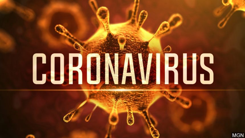 Corona-Virus..Whats That?