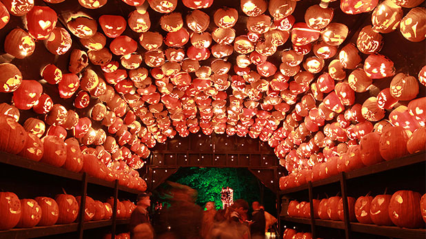 Photo taken from https://www.iloveny.com/things-to-do/fall/halloween/. 