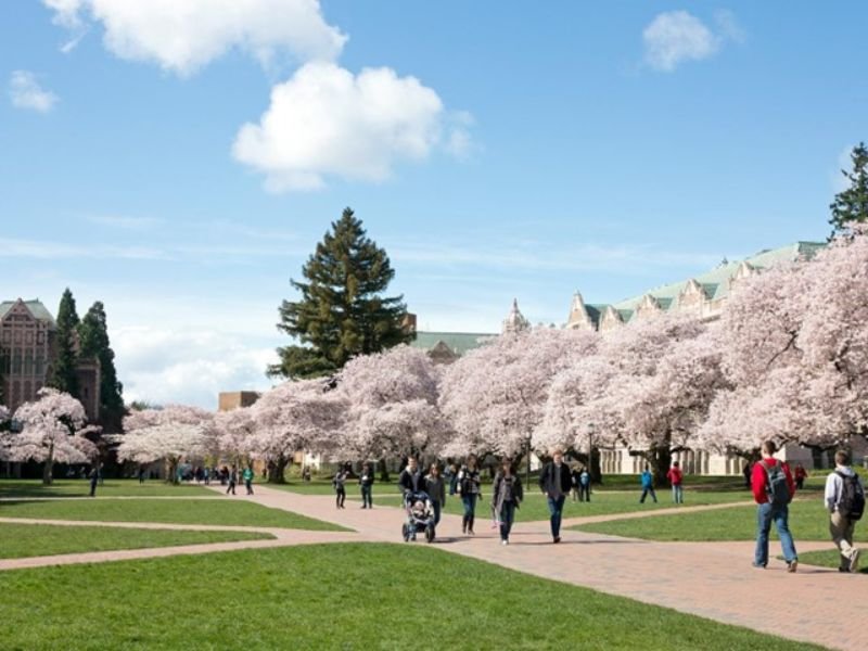 Six of America’s Most Breathtaking Spots for Cherry Blossom Season, From DC to Macon, Georgia